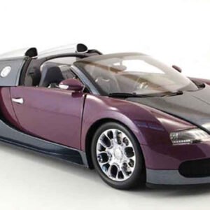 1/18 Minichamps 2009 Bugatti Veyron 16.4 (GRAY / LILA) Live Car Model Karson Diecast