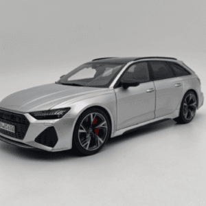 1/18 Audi Polar Master RS6 AVANT C8 Silver Polar Master Live Car Model Karson