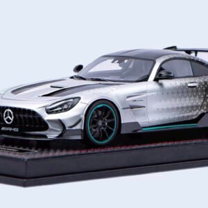 1/18 VIP Scale Models Mercedes-Benz AMG GT Black Series Resin Live Car Model Karson Limited 299 Pieces