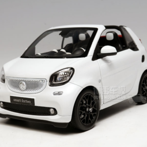 1/18 Dealer Edition Mercedes-Benz MB Smart Fortwo Coupe Convertible (White) Live Car Model Karson Diecast