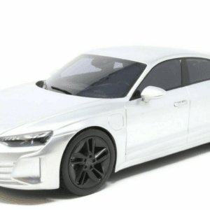 1/18 Dealer Edition Audi RS E-Tron GT (Matte Chrome) Live Car Model Karson Diecast