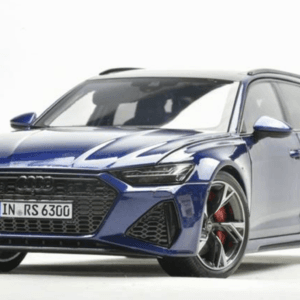 1/18 Polar Master Audi RS6 C8 (Blue) Live Car Model Karson Diecast