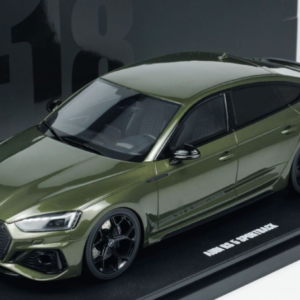 1/18 GT Spirit 2023 Audi RS5 Competition (Green) Live Car Model Karson