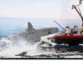 lego-idea-21350-jaws-bespoke-display-case-09-1.webp