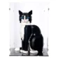lego-ideas-21349-tuxedo-cat-display-box-01-1.webp