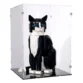 lego-ideas-21349-tuxedo-cat-display-box-02-1.webp